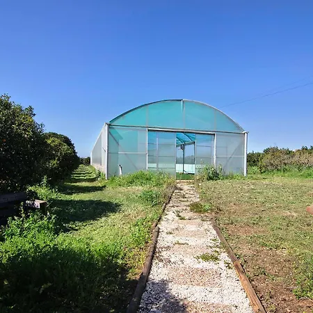 Casa Laranja Canela *